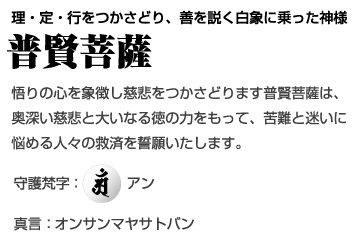 理・定・行をつかさどり、善を説く白象に乗った神様[普賢菩薩] 悟りの心を象徴し慈悲をつかさどります普賢菩薩は、奥深い慈悲と大いなる徳の力をもって、苦難と迷いに悩める人々の救済を誓願いたします。守護梵字：アン、真言：オンサンマヤサトバン