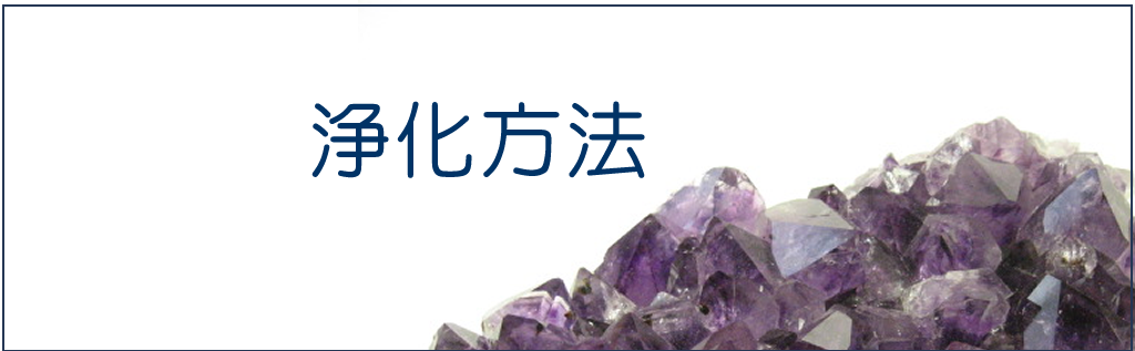 PAX 浄化方法